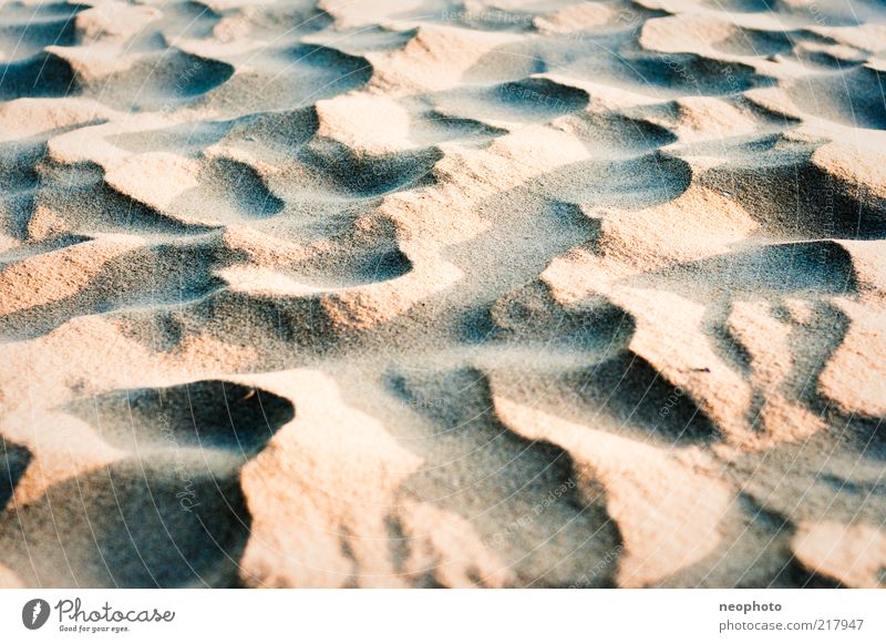 preferred base for sea visits Nature Sand Sunlight Beautiful weather Wind Infinity Clean Warmth Blue Yellow Red Beach Beach dune Colour photo Subdued colour