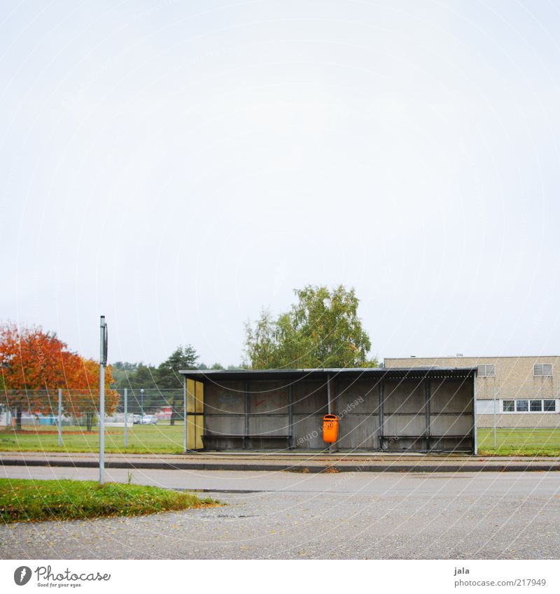 bus stop Sky Autumn Plant Tree Building Bus stop Shelter Transport Public transit Street Gloomy Trash container Colour photo Exterior shot Deserted