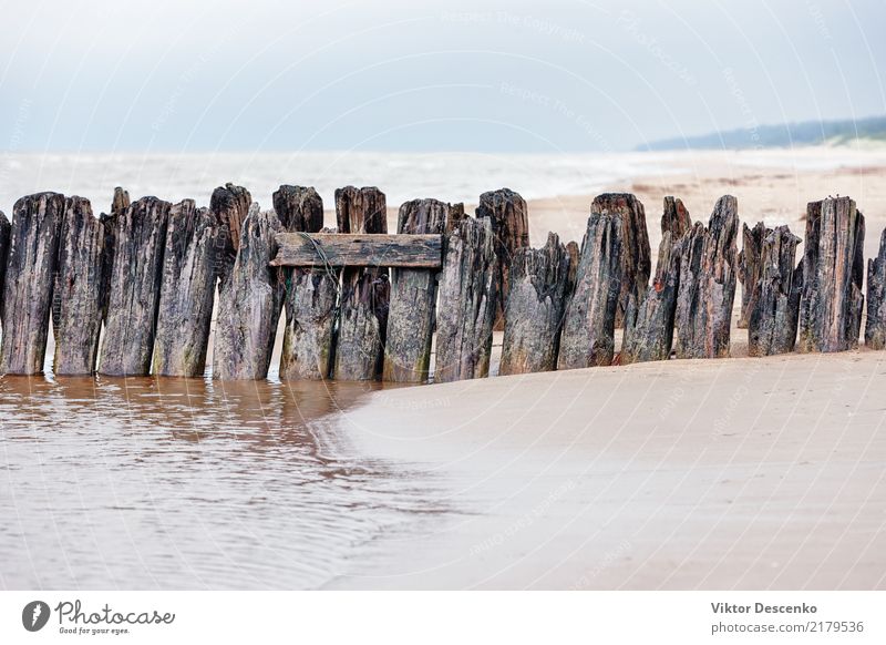 Supports of the old wooden pier Ocean Work and employment Nature Coast Baltic Sea Village Port City Harbour Bridge Watercraft Wood Old Build Retro background