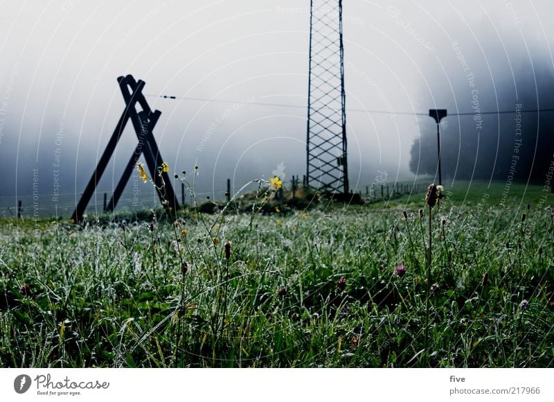 austrian alpine air Environment Nature Landscape Drops of water Sky Clouds Autumn Weather Bad weather Fog Meadow Field Hill Alps Cold Playground