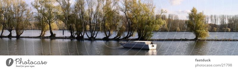 Rheinauen (Panorama) Watercraft Tree Rheingau Germany Rhine autumn germany River