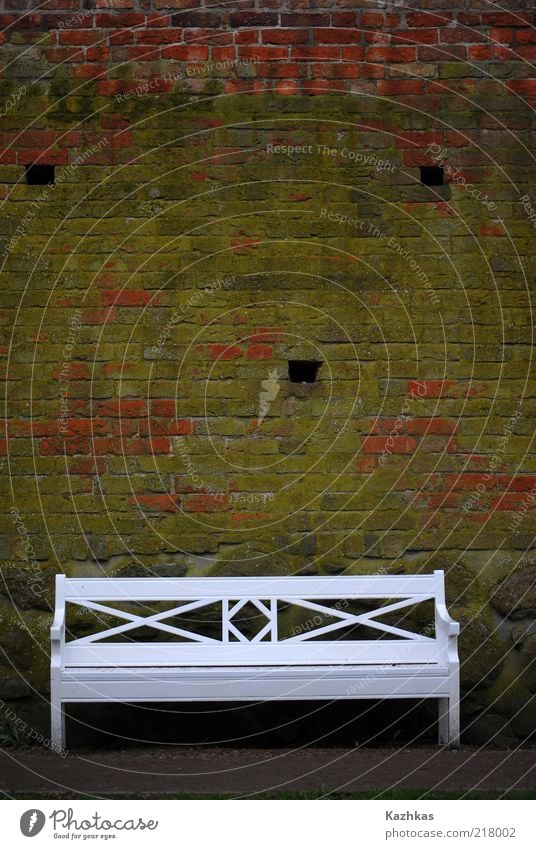 white bank on a green wall Park Old town Deserted Ruin Building Wall (barrier) Wall (building) Bench Dry Green Red White Calm Colour photo Exterior shot