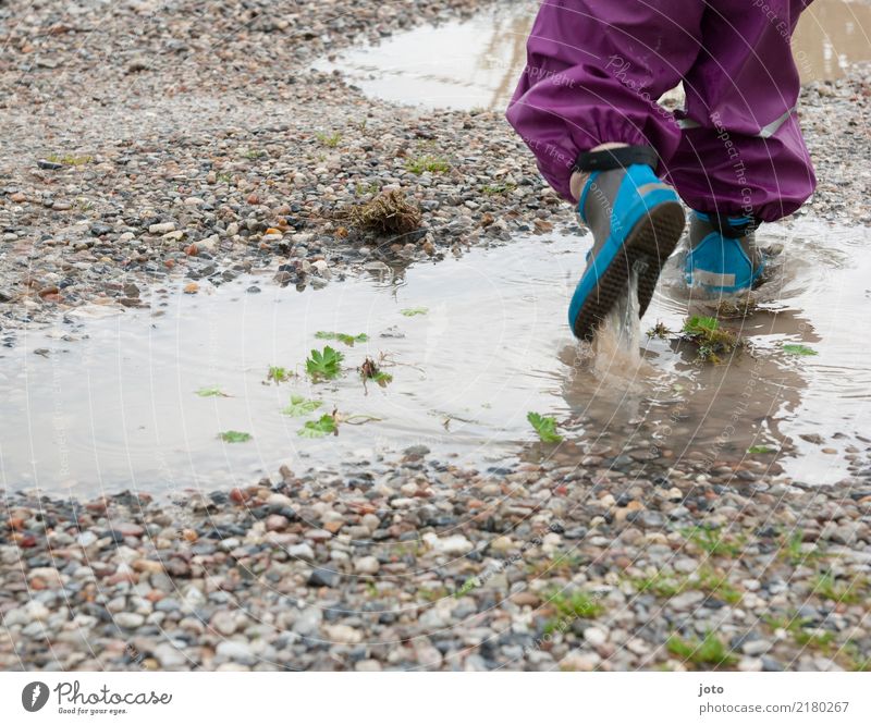 pond time Leisure and hobbies Playing Vacation & Travel Trip Adventure Freedom Child Toddler 1 Human being 1 - 3 years Nature Autumn Rain Lanes & trails