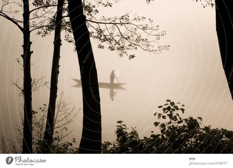 drift cloudy Man Adults Arm 1 Human being Water Autumn Fog Tree Branch Leaf Lakeside Rowboat Watercraft Paddle Movement Infinity Gloomy Serene Calm Contentment