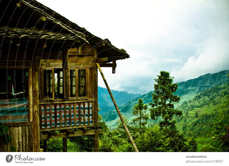 all very old, very good Environment Nature Landscape Plant Sky Storm clouds Summer Bad weather Growth Tourism Alpine hut China Guilin Slope Mountain Tree