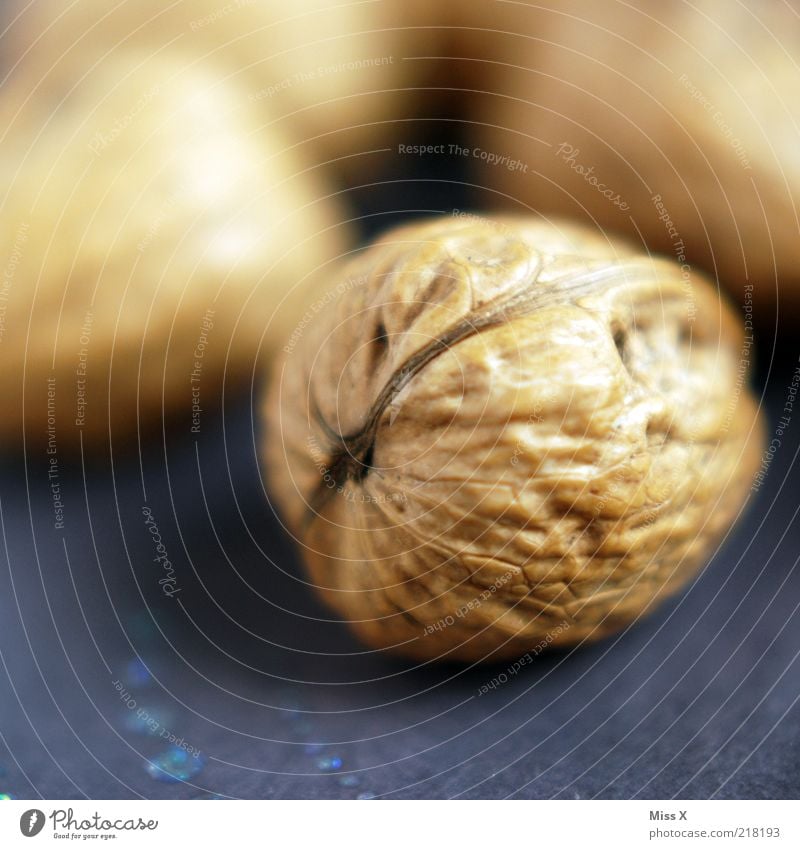 nuts Decoration Delicious Round Nut Walnut Nutshell Christmas decoration Fat Colour photo Close-up Structures and shapes Deserted Shallow depth of field Brown