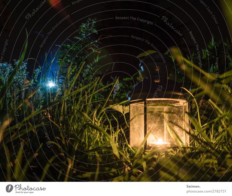 Nächtliches Stillleben Nacht Stilleben Dunkel Laterne Licht Kerze Gras leuchten hell Storm laterne Candle Glass Garden Colour photo Decoration Lamp