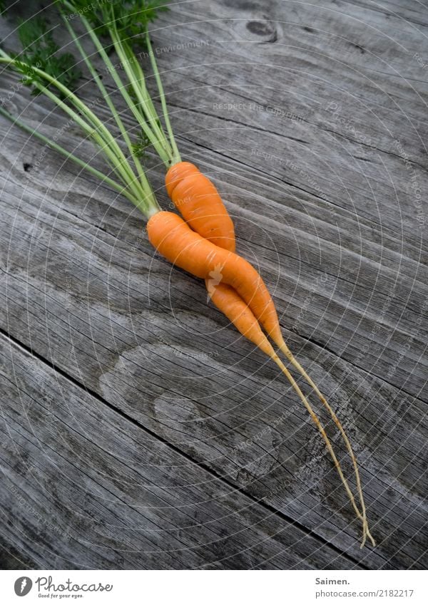 Zwei Möhren Liebe Garten gärtnern Gemüse Holz Linien und Formen Grün Gewächs gesunde ernährung Essen Nahrung zusammen zwei zweisamkeit bunt Paar Vitamine