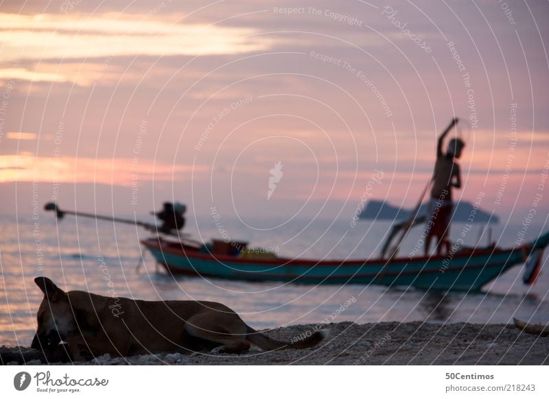 Evening beach life Far-off places Summer Beach Ocean Man Adults 1 Human being Nature Water Sunrise Sunset Coast Thailand Fishing boat Pet Wild animal Dog Animal