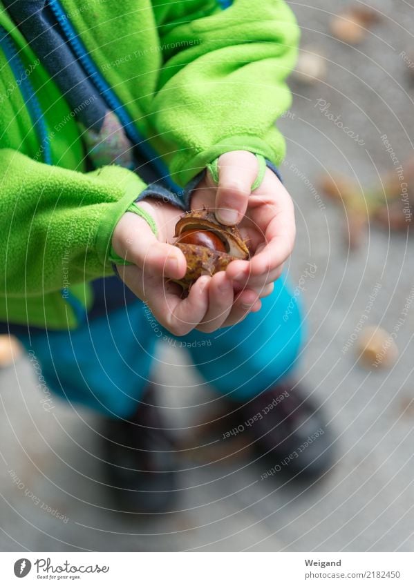 autumn security Harmonious Well-being Contentment Senses Relaxation Calm Meditation Thanksgiving Parenting Kindergarten Child Schoolchild Toddler Infancy