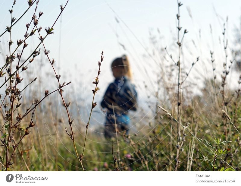 On the hill Child Girl Environment Nature Plant Sky Cloudless sky Autumn Grass Bushes Wild plant Park Meadow Bright Natural Think Observe Colour photo