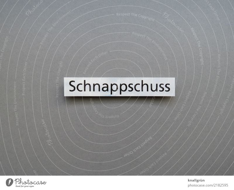 snap Characters Signs and labeling Communicate Sharp-edged Gray Black White Emotions Joy Snapshot Take a photo Colour photo Studio shot Deserted Copy Space left