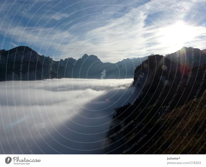 Above the clouds ( Appenzell mountains) Nature Landscape Elements Air Sky Horizon Sun Sunlight Autumn Weather Beautiful weather Fog Alps Mountain