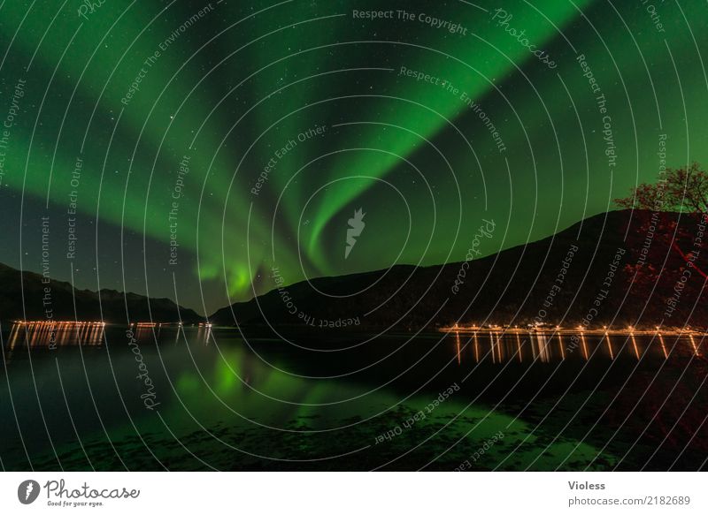 Northern Lights IX Nature Sky Clouds Night sky Horizon Horizontal Autumn Aurora Borealis Fjord Movement Exceptional Infinity Humble Mysterious Surrealism Shadow