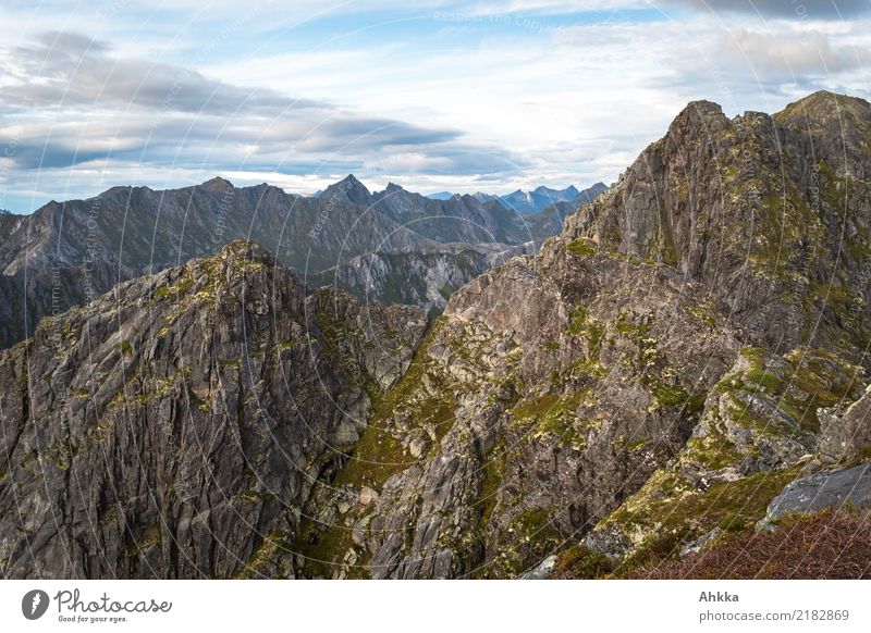 climbing paradise Climbing Mountaineering Nature Rock Peak Lofotes Sharp-edged Wild Might Effort Colour photo Exterior shot Deserted Copy Space top