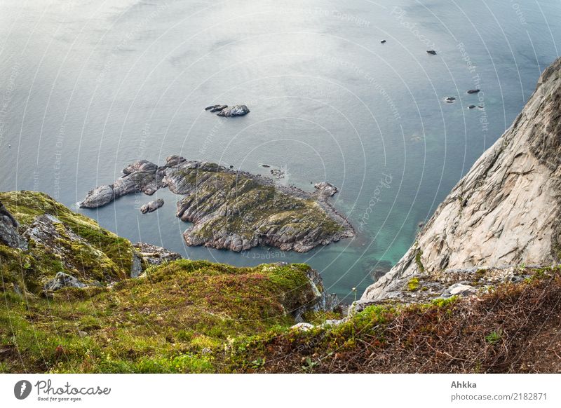 View to the coast, Lofoten, Norway Environment Nature Mountain Coast Fjord Ocean Island Lofotes Maritime Under Wild Uniqueness Freedom Perspective