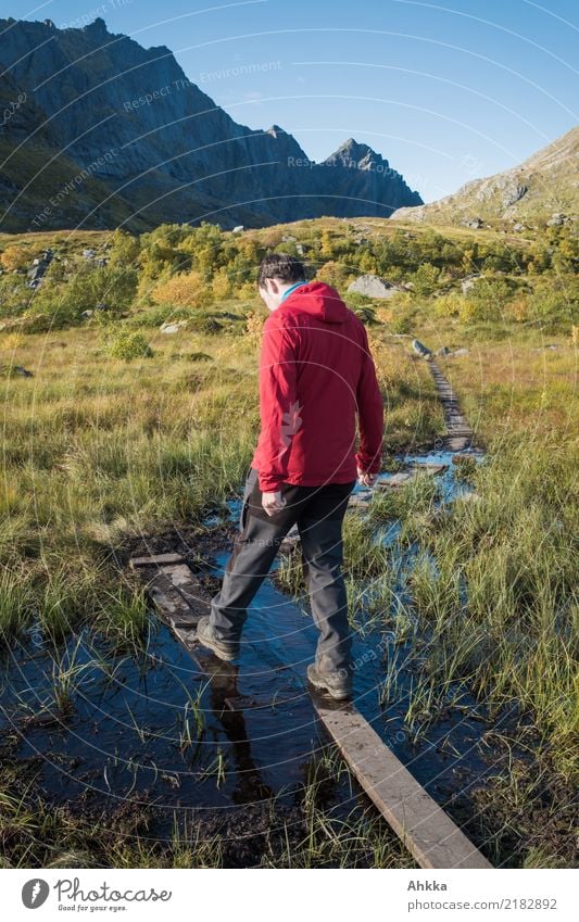 Young man dares take a step in unsafe terrain Vacation & Travel Adventure Mountain Hiking Human being Youth (Young adults) Nature Landscape Bog Marsh Lofotes