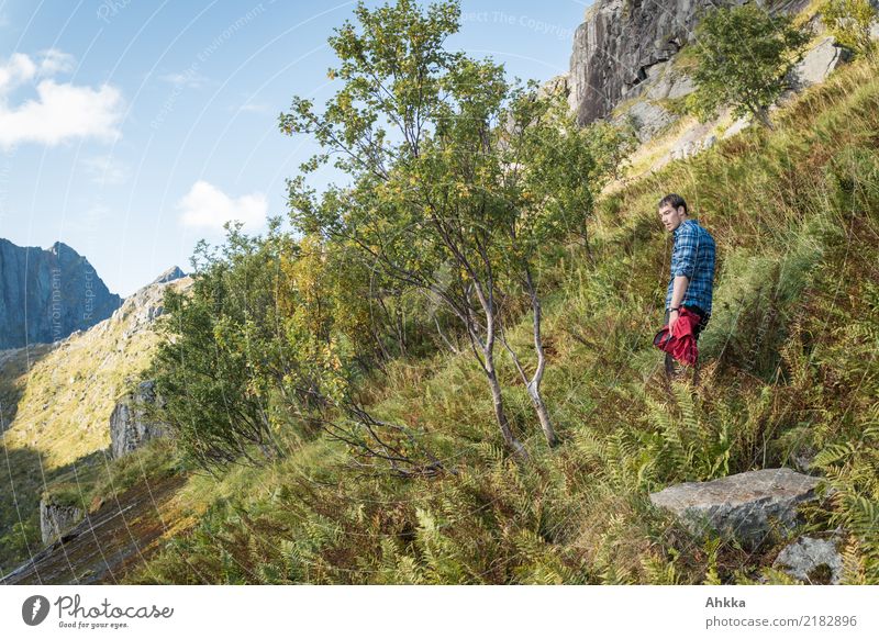 Fern, young man, hiking, Norway Life Harmonious Calm Vacation & Travel Trip Adventure Freedom Summer vacation Mountain Hiking Young man Youth (Young adults)