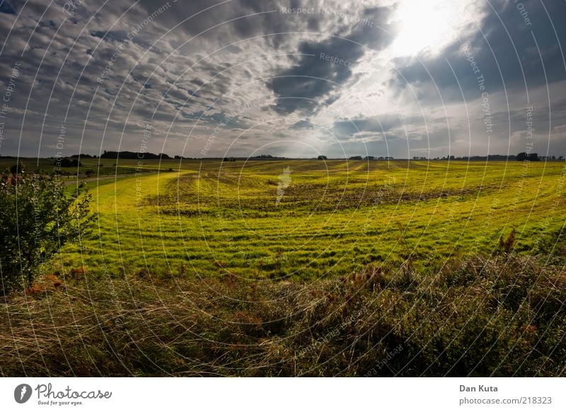 Light and shadow Landscape Sky Clouds Sunlight Summer Autumn Beautiful weather Island Rügen Fear of the future Disastrous Illuminate Bright green Circle Field