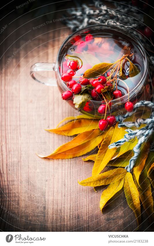 Cup with autumn tea and hawthorn Beverage Hot drink Tea Lifestyle Design Healthy Healthy Eating Living or residing Autumn Retro Yellow Style Background picture