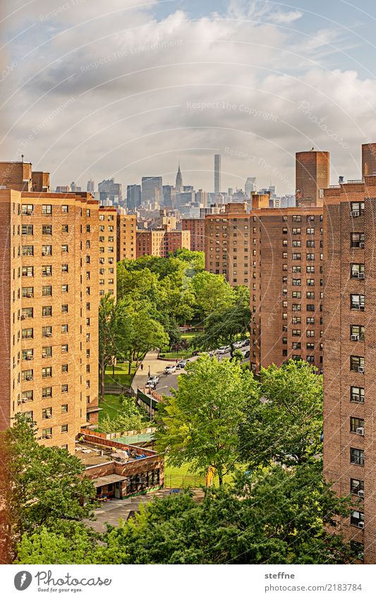 Living in the city II Town Populated Overpopulated House (Residential Structure) High-rise Living or residing New York City Manhattan Tree Chrysler Building