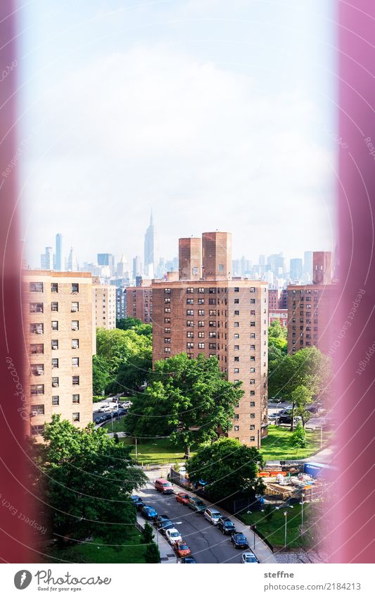 living and working Tree New York City Manhattan Town Skyline Overpopulated House (Residential Structure) High-rise Living or residing Colour photo Exterior shot