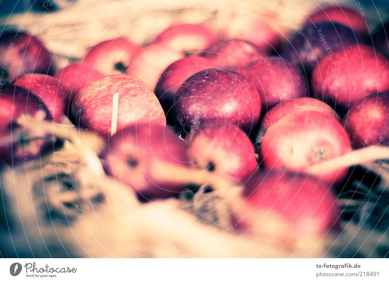 Apple Bird Nest Food Fruit Nutrition Organic produce Slow food Fragrance Thanksgiving Autumn Straw Harvest Delicious Round Juicy Brown Gray Red Colour Nature