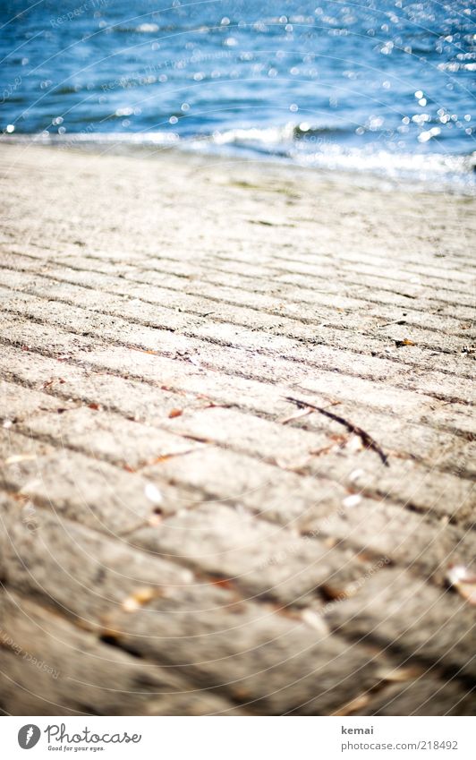 way into the water Nature Water Sunlight Summer Beautiful weather River Rhine Lanes & trails Wet Blue Waves Stone Jetty Colour photo Subdued colour