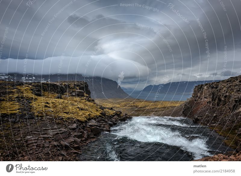 Dynjandi Nature Landscape Plant Water Sky Storm clouds Horizon Spring Bad weather Grass Moss Rock Mountain Waves River bank Fjord Waterfall Deserted Dark