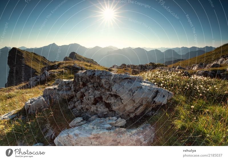 morning sunshine over rocks and alpine flowers Vacation & Travel Summer Sun Mountain Hiking Nature Landscape Plant Sky Sunrise Sunset Beautiful weather Flower