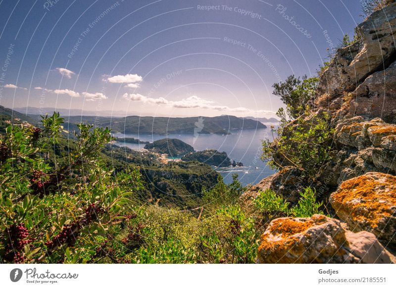 View from Angelokastro I Landscape Plant Water Sky Clouds Horizon Summer Beautiful weather Tree Bushes Wild plant Coast Corfu Tourist Attraction