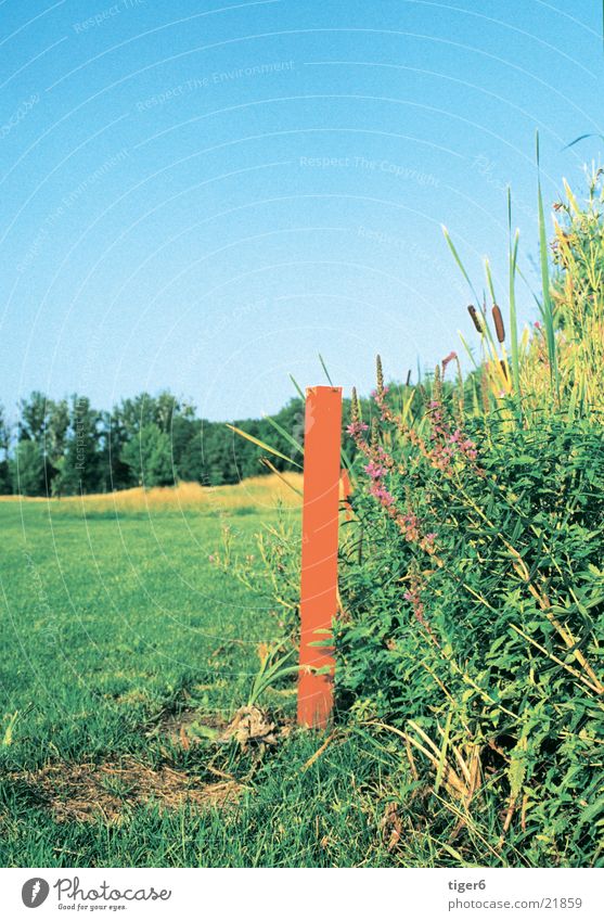 red stake in front of the water water hazard Golf Nature