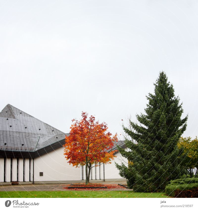 autumn - green, red, grey Nature Sky Plant Tree Grass Bushes Park House (Residential Structure) Manmade structures Building Architecture Facade Roof Gloomy