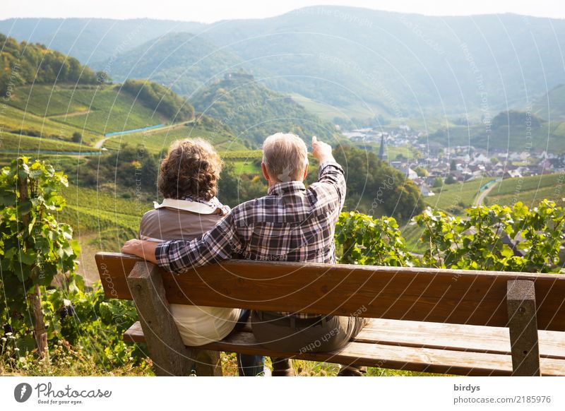 2 seniors in love are sitting on a bench in the vineyard and look into the Ahr valley. The man points to something. Life Trip Summer Mountain Hiking Masculine