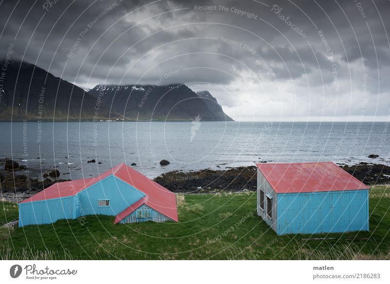 united colours of island Nature Landscape Plant Horizon Spring Weather Wind Grass Rock Mountain Snowcapped peak Coast Beach Fjord Deserted Hut Exceptional Dark