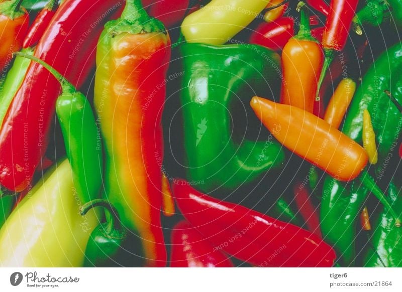 paprika Pepper Arranged Healthy Vegetable Nutrition