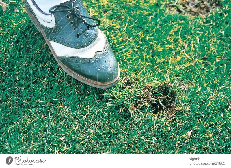 Shoe in the grass Grass Footwear Sports Golf divot