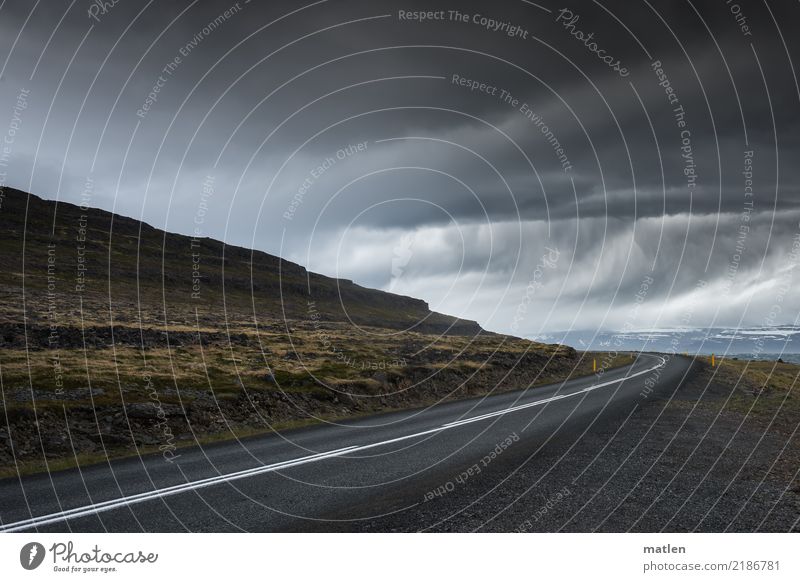 Rain after the curve Nature Landscape Water Sky Storm clouds Horizon Spring Bad weather Gale Grass Moss Mountain Fjord Street Dark Brown Yellow Gray Iceland