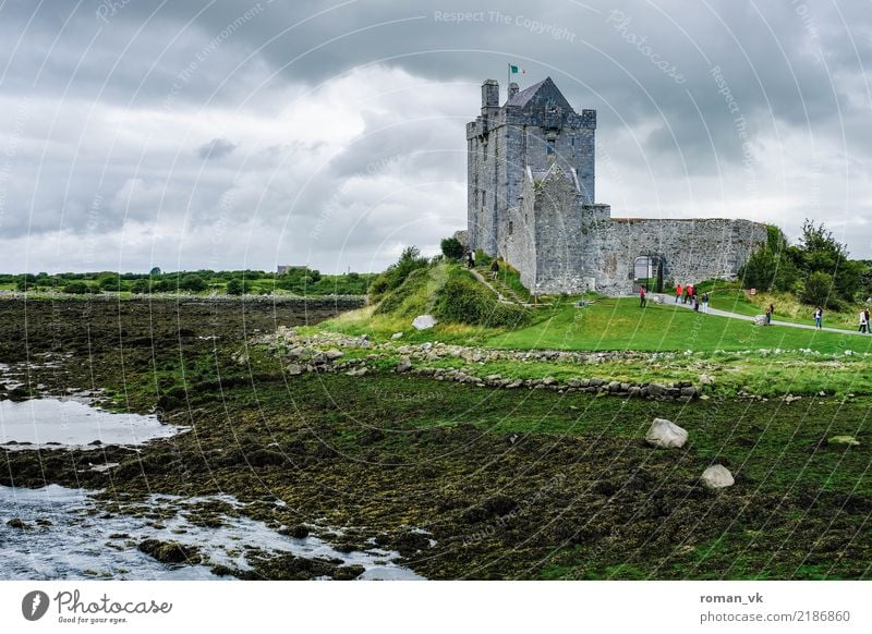 Castle with algae garden Environment Earth Water Bad weather Coast Lakeside River bank Bog Marsh Brook Tourist Attraction Old Creepy Historic Beautiful Gray