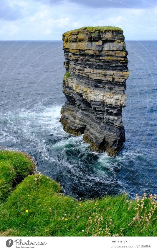 St. Patrick's Head Nature Landscape Animal Elements Water Horizon Summer Grass Rock Waves Coast Ocean Attentive Respect Pride Monolith Wind Northern Ireland