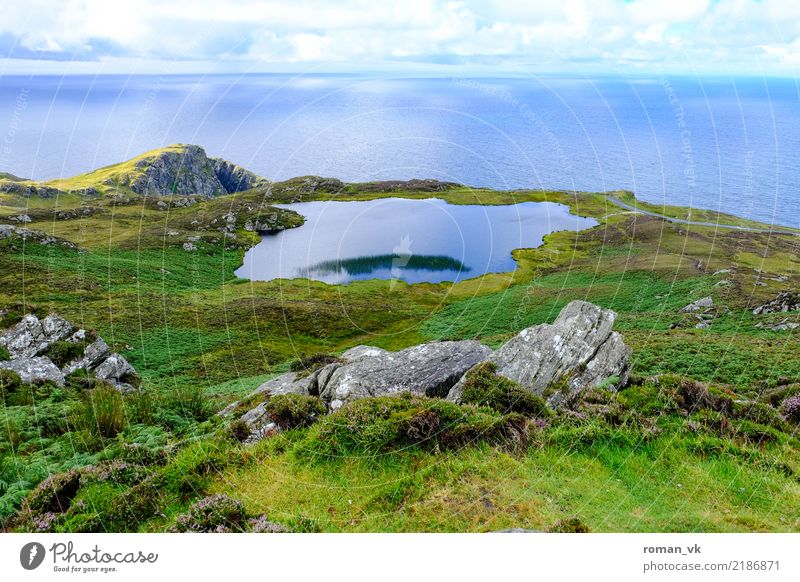 Lake and sea Plant Climate Hill Rock Coast Lakeside Blue Green Northern Ireland Pond Landscape Common Reed Mountain Slope calm sea Colour photo Deserted Day