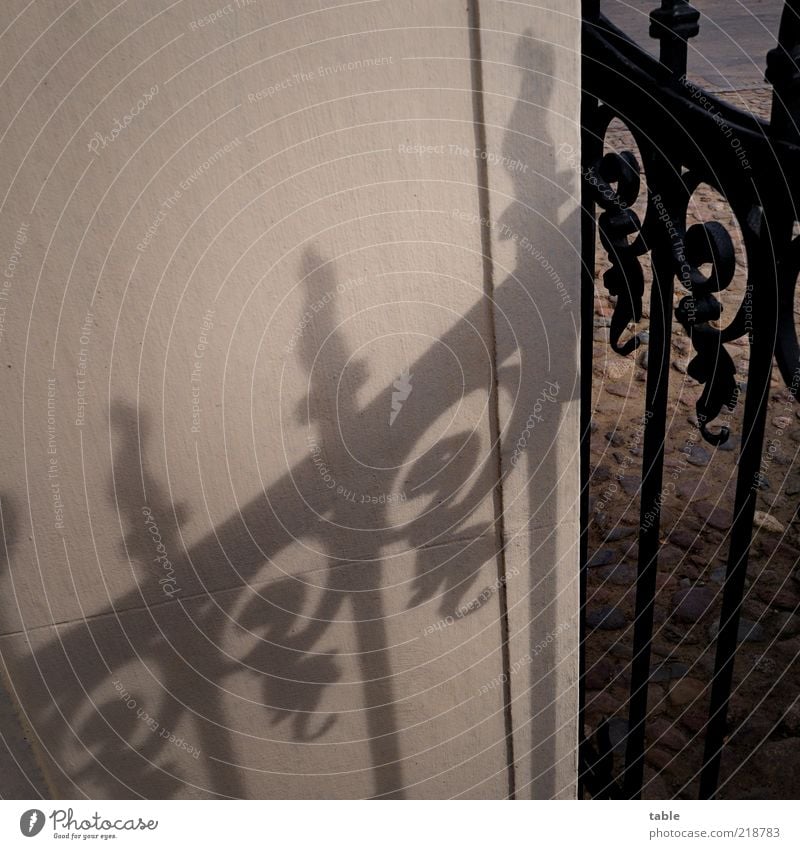 shadow sb. Wall (barrier) Wall (building) Stone Metal Old Esthetic Dark Sharp-edged Brown Gray Black Gate Highway ramp (entrance) Main gate Pattern Iron