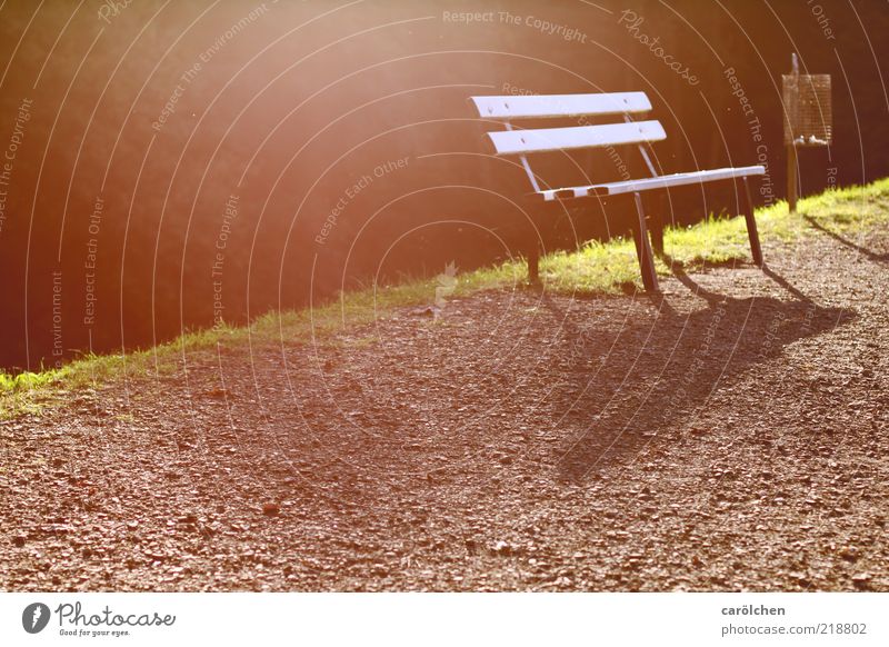 ... and have the last warmth in my back. Autumn Park Brown Green Calm Bench Lanes & trails Shadow Break Relaxation Park bench Restorative Colour photo