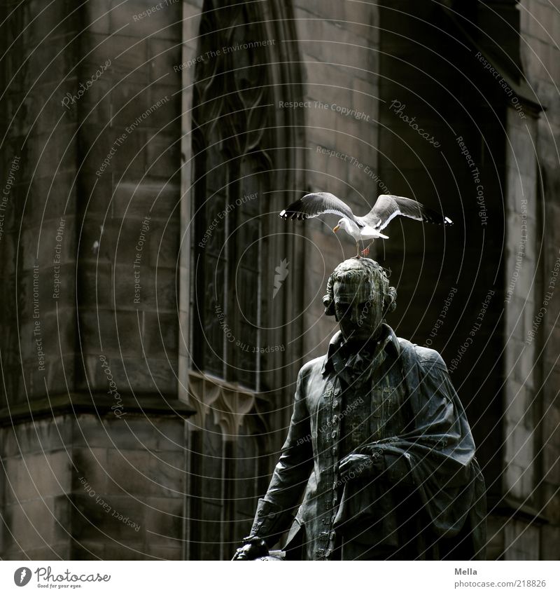 forbearance Sculpture Statue Edinburgh Scotland Old town Church Wall (barrier) Wall (building) Window Monument Stone Dark Gray Moody Honor Religion and faith