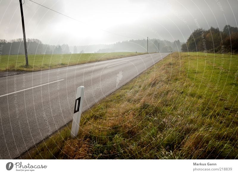 Country road in autumn Nature Landscape Autumn Climate Weather Bad weather Fog Grass Meadow Traffic infrastructure Street Brown Gray Asphalt Cable Pole