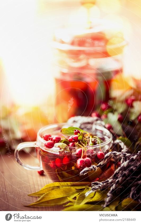 Autumn day with cup of tea Beverage Hot drink Tea Style Design Healthy Eating Life Living or residing Nature Leaf Garden Emotions Background picture Cup