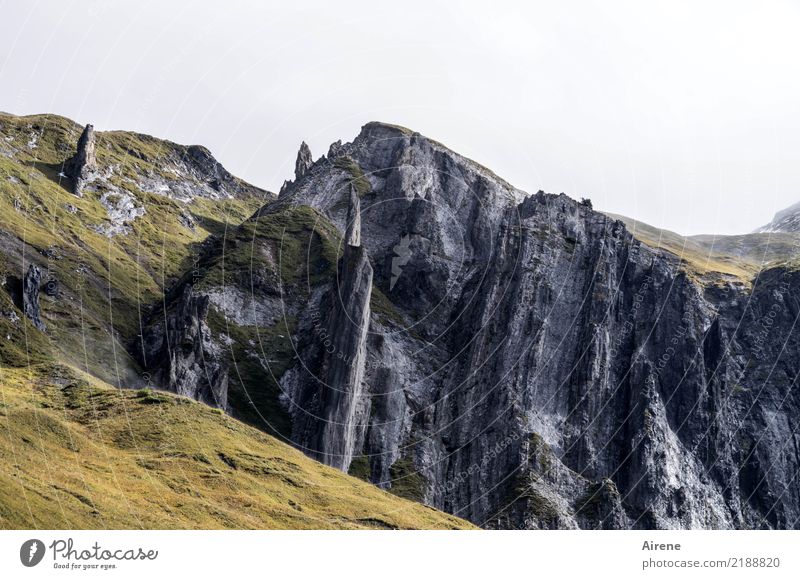 Lace.stones Vacation & Travel Mountain Hiking Landscape Rock Alps Lechtal Peak Federal State of Vorarlberg Federal State of Tyrol Threat Point Thorny Wild Gold