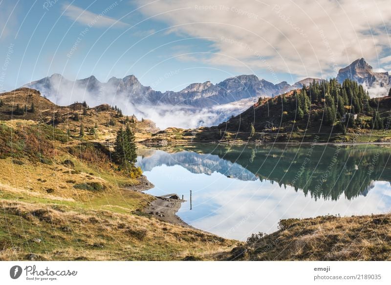 turbid sea Environment Nature Landscape Sky Summer Beautiful weather Alps Mountain Lake Exceptional Tourism Reflection Mountain lake Dreary Switzerland Hiking