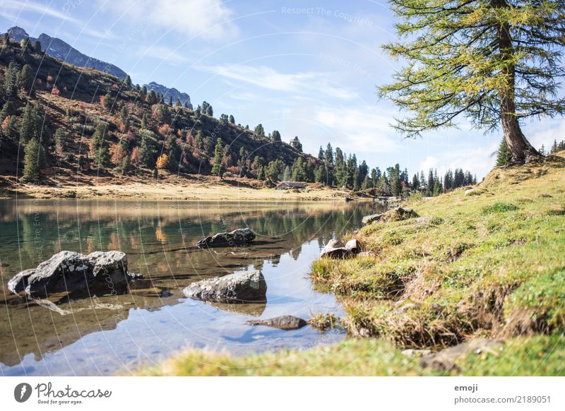 Lake Engstlen Relaxation Vacation & Travel Tourism Summer Mountain Hiking Environment Nature Landscape Sky Beautiful weather Alps Exceptional Mountain lake