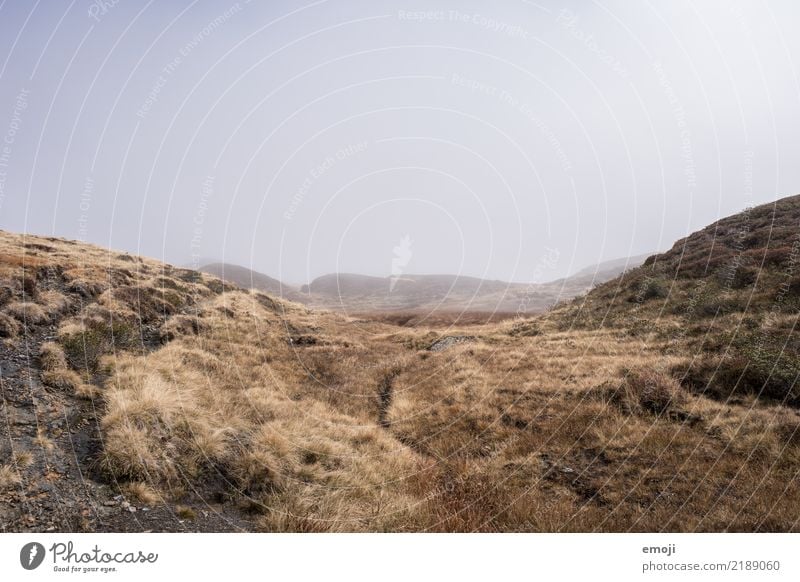 alpine desert Environment Nature Landscape Autumn Bad weather Fog Meadow Dark Gloomy Gray Desert Sadness Colour photo Subdued colour Exterior shot